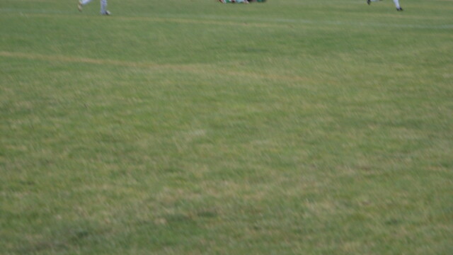 SONY DSC