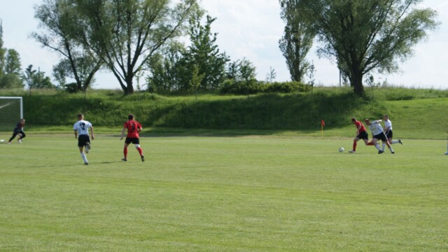 SONY DSC